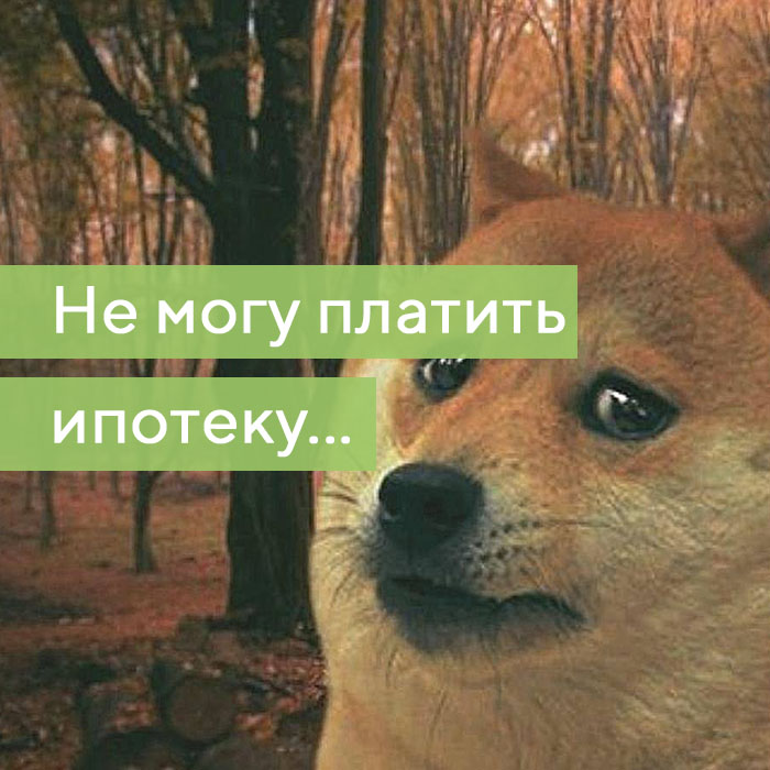 Не уплатил ипотеку